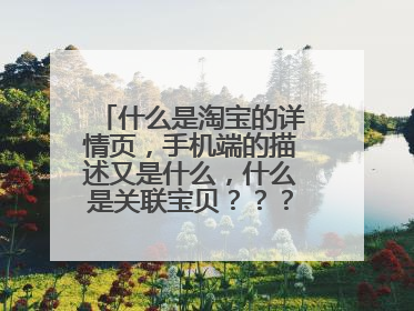 什么是淘宝的详情页，手机端的描述又是什么，什么是关联宝贝？？？求赐教