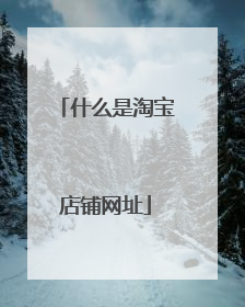 什么是淘宝店铺网址