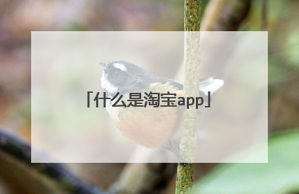 什么是淘宝app