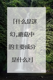什么是迷幻,蘑菇中的主要成分是什么?