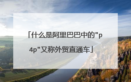 什么是阿里巴巴中的