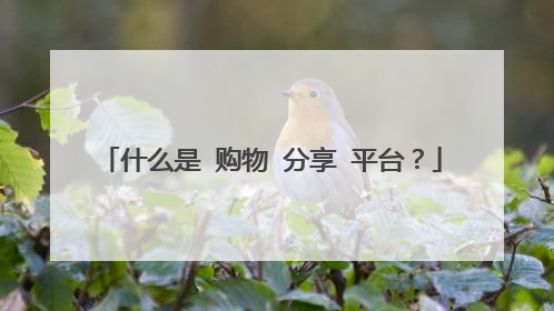 什么是 购物 分享 平台？