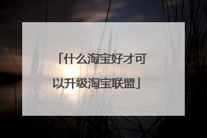 什么淘宝好才可以升级淘宝联盟