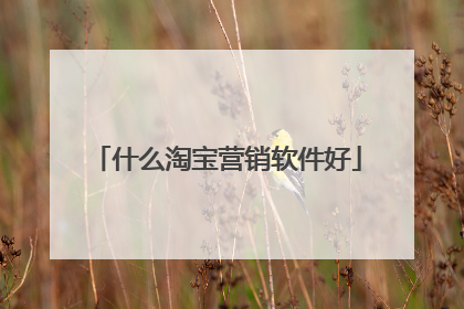 什么淘宝营销软件好