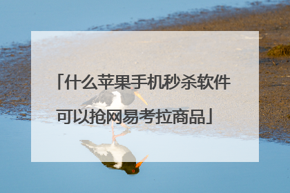 什么苹果手机秒杀软件可以抢网易考拉商品