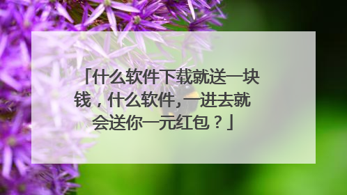 什么软件下载就送一块钱,什么软件,一进去就会送你一元红包?