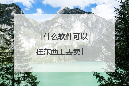 什么软件可以挂东西上去卖