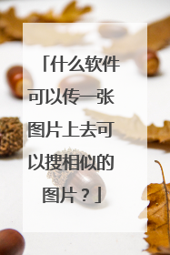 什么软件可以传一张图片上去可以搜相似的图片?