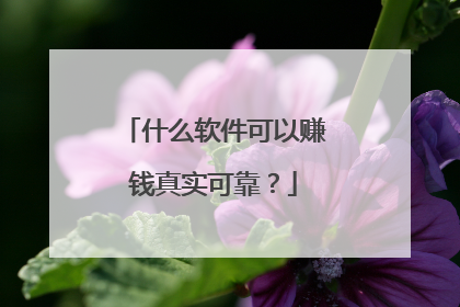 什么软件可以赚钱真实可靠?
