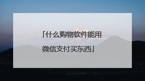 什么购物软件能用微信支付买东西