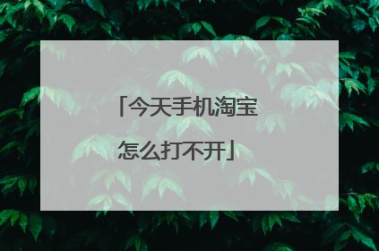 今天手机淘宝怎么打不开