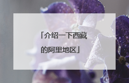 介绍一下西藏的阿里地区