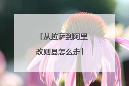 从拉萨到阿里改则县怎么走
