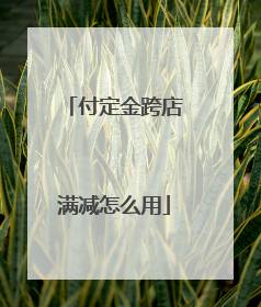 付定金跨店满减怎么用