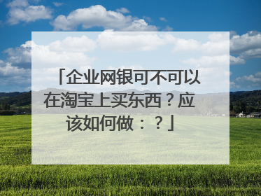 企业网银可不可以在淘宝上买东西？应该如何做：？