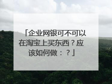 企业网银可不可以在淘宝上买东西？应该如何做：？