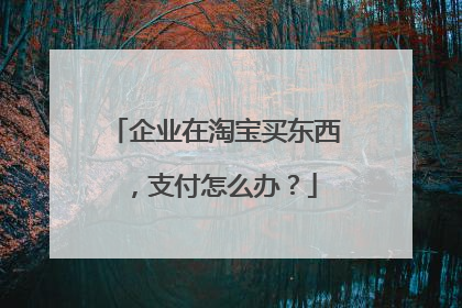企业在淘宝买东西，支付怎么办？