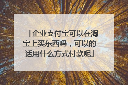 企业支付宝可以在淘宝上买东西吗，可以的话用什么方式付款呢