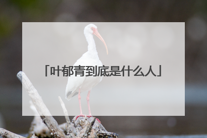 叶郁青到底是什么人