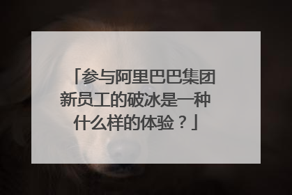 参与阿里巴巴集团新员工的破冰是一种什么样的体验?