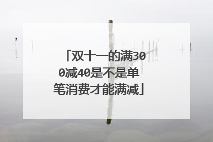 双十一的满300减40是不是单笔消费才能满减