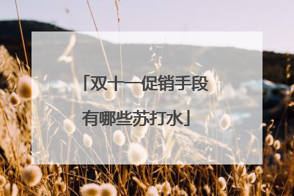 双十一促销手段有哪些苏打水