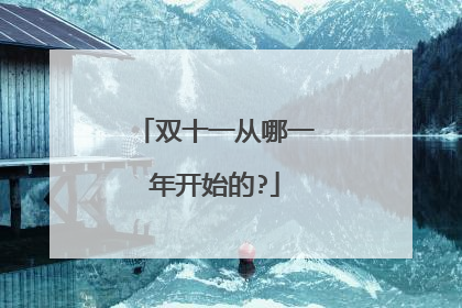 双十一从哪一年开始的?