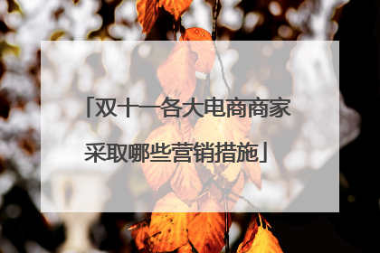 双十一各大电商商家采取哪些营销措施