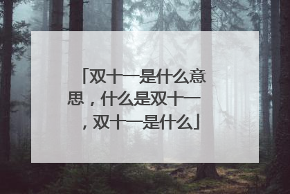 双十一是什么意思，什么是双十一，双十一是什么