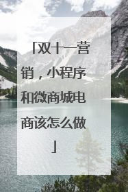 双十一营销,小程序和微商城电商该怎么做