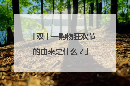 双十一购物狂欢节的由来是什么?