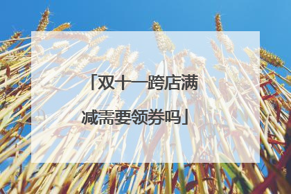 双十一跨店满减需要领券吗