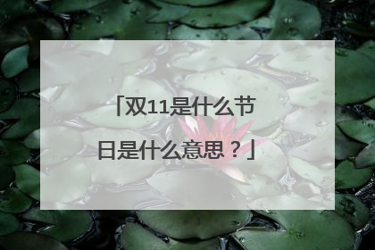 双11是什么节日是什么意思?