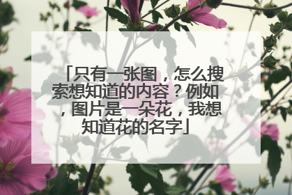 只有一张图，怎么搜索想知道的内容？例如，图片是一朵花，我想知道花的名字