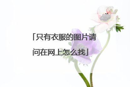 只有衣服的图片请问在网上怎么找