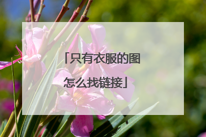 只有衣服的图怎么找链接