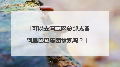 可以去淘宝网总部或者阿里巴巴集团参观吗？