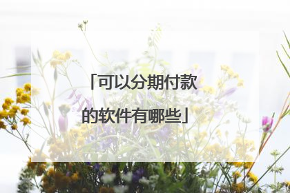 可以分期付款的软件有哪些