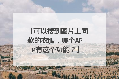 可以搜到图片上同款的衣服，哪个APP有这个功能？