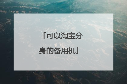 可以淘宝分身的备用机