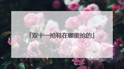 双十一抢鞋在哪里抢的