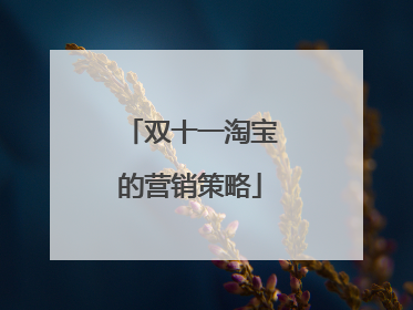 双十一淘宝的营销策略