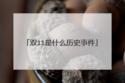双11是什么历史事件