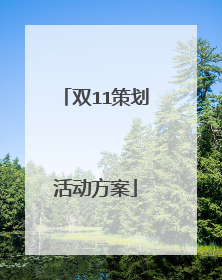 双11策划活动方案