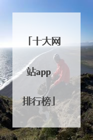 十大网站app排行榜