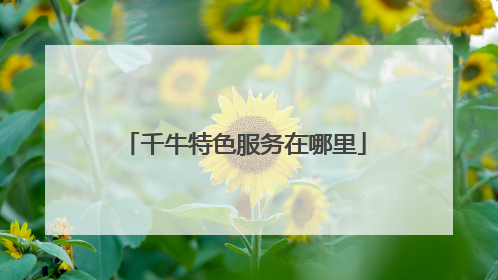 千牛特色服务在哪里