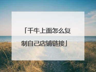 千牛上面怎么复制自己店铺链接