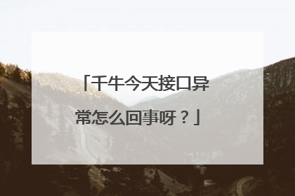 千牛今天接口异常怎么回事呀?