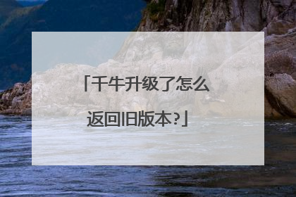 千牛升级了怎么返回旧版本?