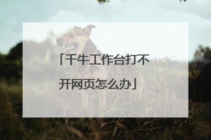 千牛工作台打不开网页怎么办